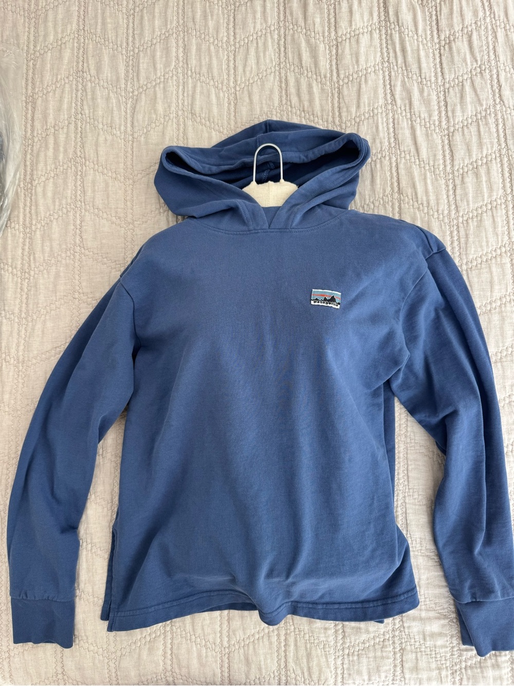 Blue Patagonia organic cotton hoodie hooded women’s Sweatshirt.